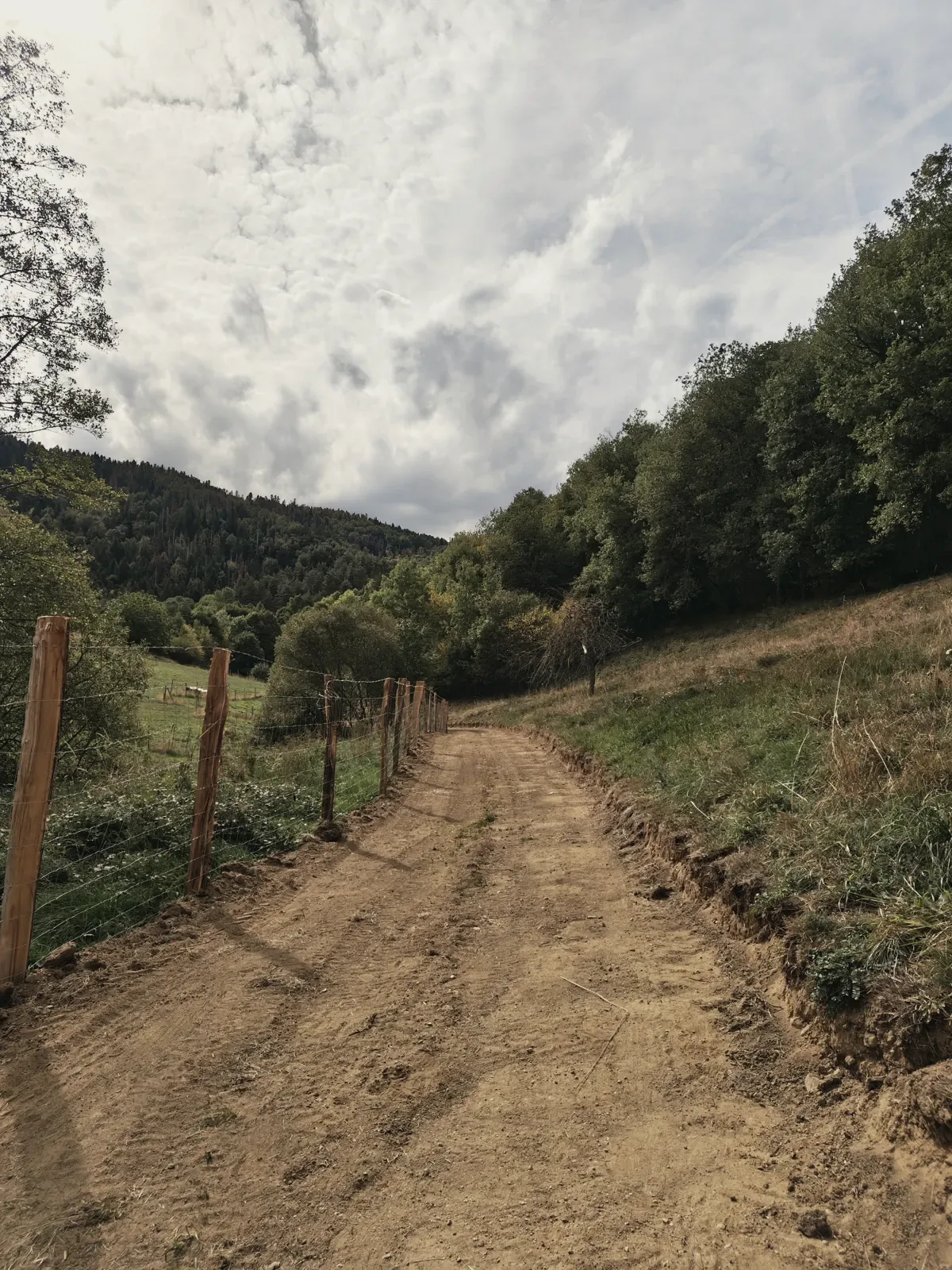 Le chemin de la ferme