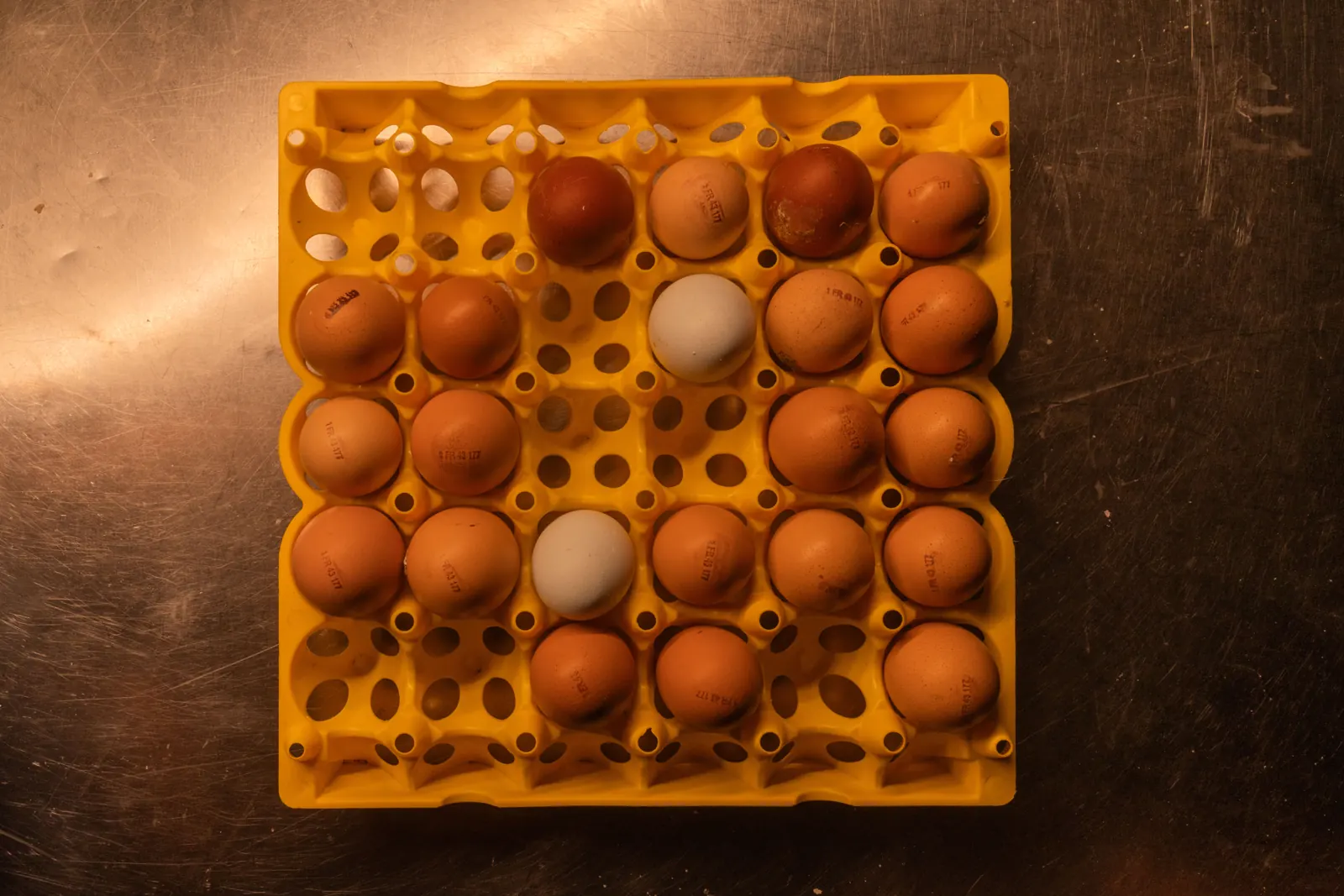 Œufs de la ferme
