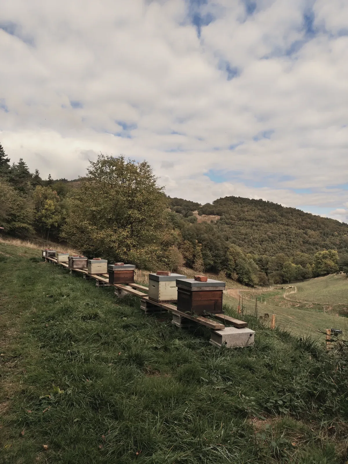 Les ruches de La Borie sur la colline