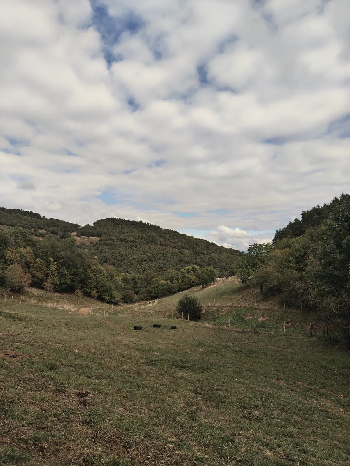Les prés du vallon, au-dessus de la ferme